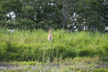 B&B かむほーむに投稿された画像（2018/9/4）