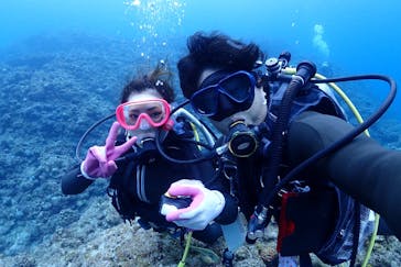 ダイビングショップ Sea Free（シーフリー）に投稿された画像（2018/12/3）