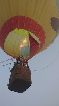 ウイニングバルーンクラブに投稿された画像（2017/12/2）