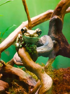 サンシャイン水族館に投稿された画像（2019/1/1）