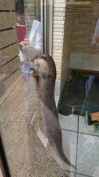 下田海中水族館に投稿された画像（2018/8/10）