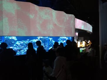 マクセル アクアパーク品川に投稿された画像（2018/3/4）