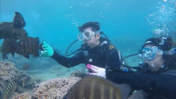 青の洞窟専門店　沖縄ダイビングショップ和に投稿された画像（2018/3/17）