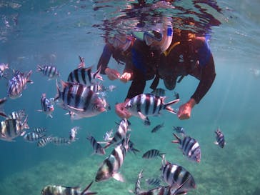 diving&workshop IHANASHI（ダイビングアンドワークショップイハナシ）に投稿された画像（2018/9/21）