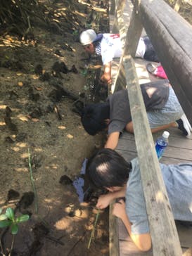 【契約解除】あまんだまんに投稿された画像（2018/11/19）