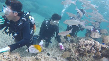 青の洞窟専門店　沖縄ダイビングショップ和に投稿された画像（2018/3/18）