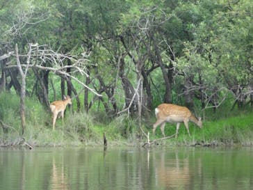 B&B かむほーむに投稿された画像（2018/8/13）