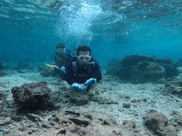 ドロップイン 沖縄に投稿された画像（2019/1/1）