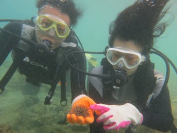 ドロップイン 沖縄に投稿された画像（2018/11/19）