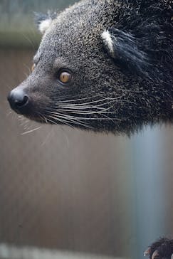 阿蘇カドリー・ドミニオンに投稿された画像（2018/12/30）