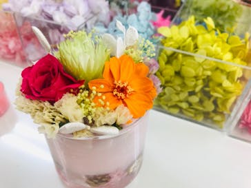 ずこうしつ〜sugamo〜に投稿された画像（2019/3/27）