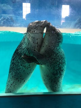 下田海中水族館に投稿された画像（2018/7/14）
