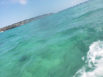 COCONUTS CLUB（ココナッツクラブ）に投稿された画像（2018/10/21）