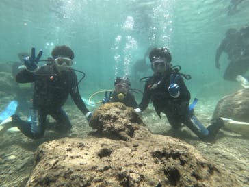 武藤潜水に投稿された画像（2019/5/21）