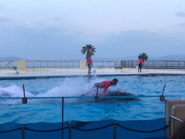 マリンワールド海の中道に投稿された画像（2019/5/9）