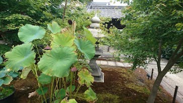 東福寺塔頭 勝林寺に投稿された画像（2018/8/13）
