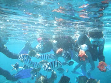 沖縄ダイビングショップシーモールに投稿された画像（2019/1/30）