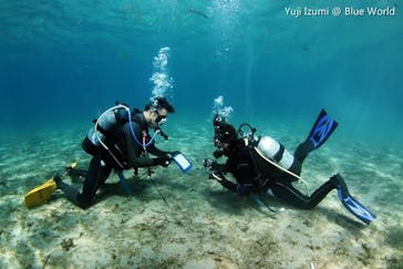 ブルーワールドに投稿された画像（2018/9/13）