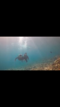 青の洞窟専門店　沖縄ダイビングショップ和に投稿された画像（2018/6/5）