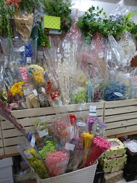 ずこうしつ〜sugamo〜に投稿された画像（2019/1/2）