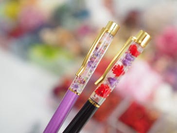 ずこうしつ〜sugamo〜に投稿された画像（2019/2/7）