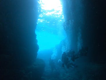 武藤潜水に投稿された画像（2019/5/13）