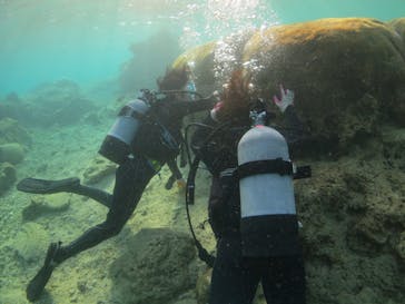 ドロップイン 沖縄に投稿された画像（2019/5/3）