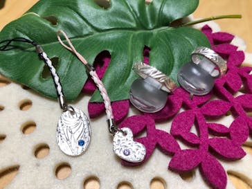 銀のイルカに投稿された画像（2018/11/5）