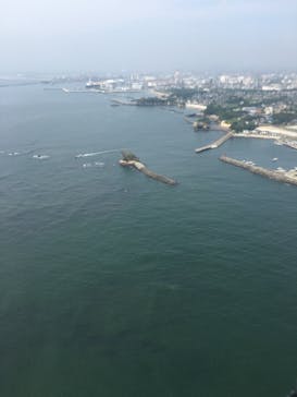 松島熱気球・パラグライダー体験に投稿された画像（2018/8/14）