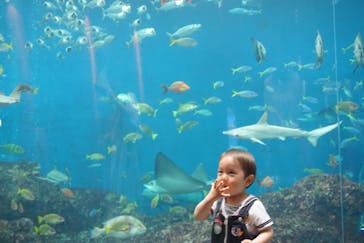 鴨川シーワールドに投稿された画像（2018/4/22）