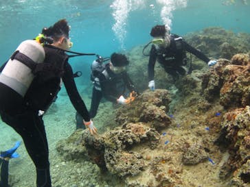 ドロップイン 沖縄に投稿された画像（2019/3/15）