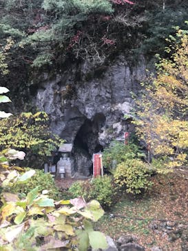 せいらんの里に投稿された画像（2018/11/19）