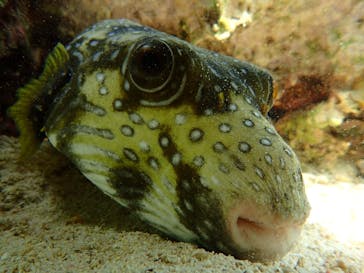 B-nature（ビーネイチャー）に投稿された画像（2019/5/5）