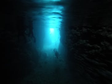 青の洞窟専門店　沖縄ダイビングショップ和に投稿された画像（2018/2/28）