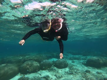 武藤潜水に投稿された画像（2019/3/26）