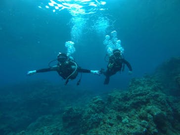 青の洞窟専門店　沖縄ダイビングショップ和に投稿された画像（2019/5/31）