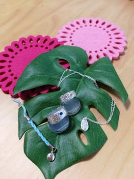 銀のイルカに投稿された画像（2018/3/31）