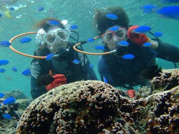 沖縄ダイビングショップシーモールに投稿された画像（2018/11/17）