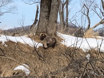 レイクサイドとうろに投稿された画像（2019/2/20）