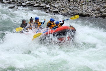 ネイチャー・ナビゲーター（みなかみ）に投稿された画像（2018/5/16）