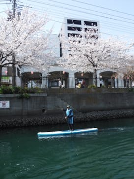 水辺荘に投稿された画像（2019/4/7）