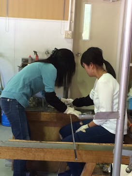 ガラス工房Ezeに投稿された画像（2017/10/9）