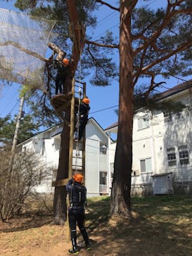 那須の森の空中アスレチック『NOZARU』に投稿された画像（2018/4/8）