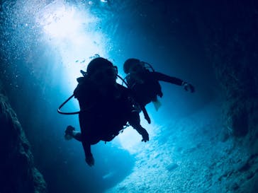 diving&workshop IHANASHI（ダイビングアンドワークショップイハナシ）に投稿された画像（2019/2/8）