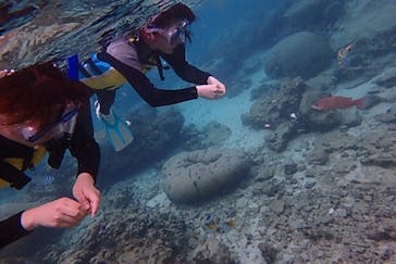 diving&workshop IHANASHI（ダイビングアンドワークショップイハナシ）に投稿された画像（2019/5/2）