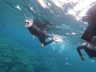 武藤潜水に投稿された画像（2019/4/24）