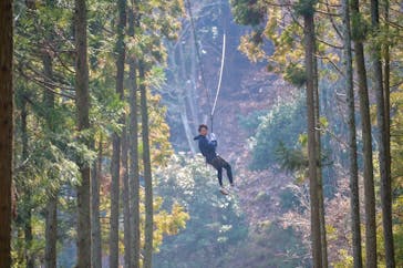 ツリークロスアドベンチャー厚木・七沢に投稿された画像（2019/3/20）