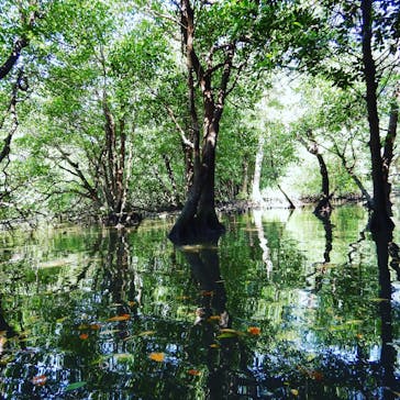 CHOROに投稿された画像（2018/3/21）