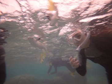 武藤潜水に投稿された画像（2017/11/5）