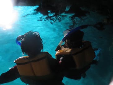 diving&workshop IHANASHI（ダイビングアンドワークショップイハナシ）に投稿された画像（2018/8/28）